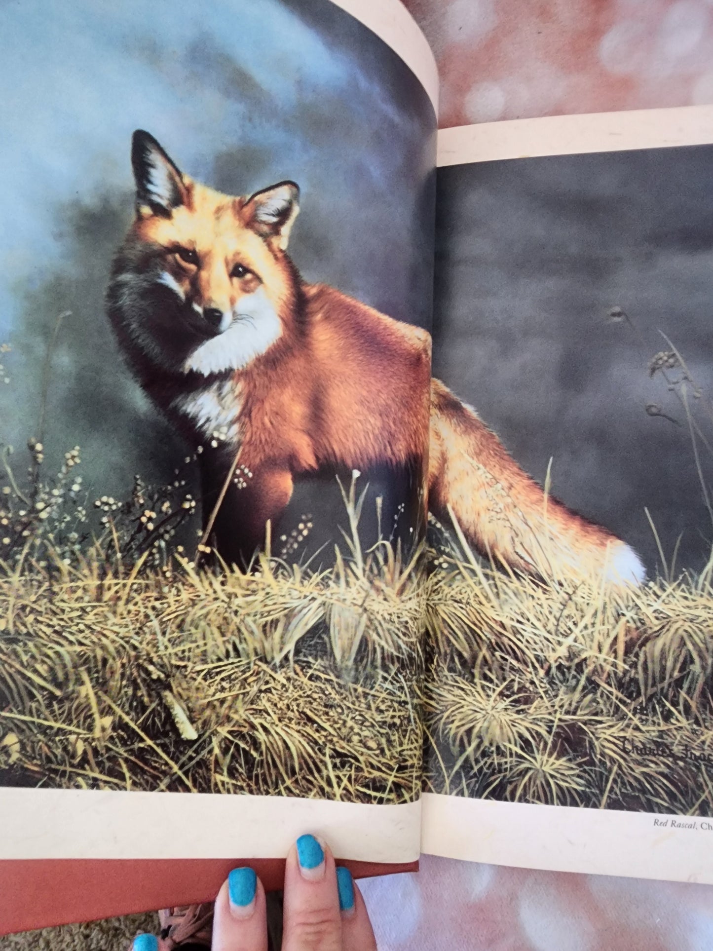 Wildlife Painting Step by Step hardback Book by Patrick Seslar. Art Book