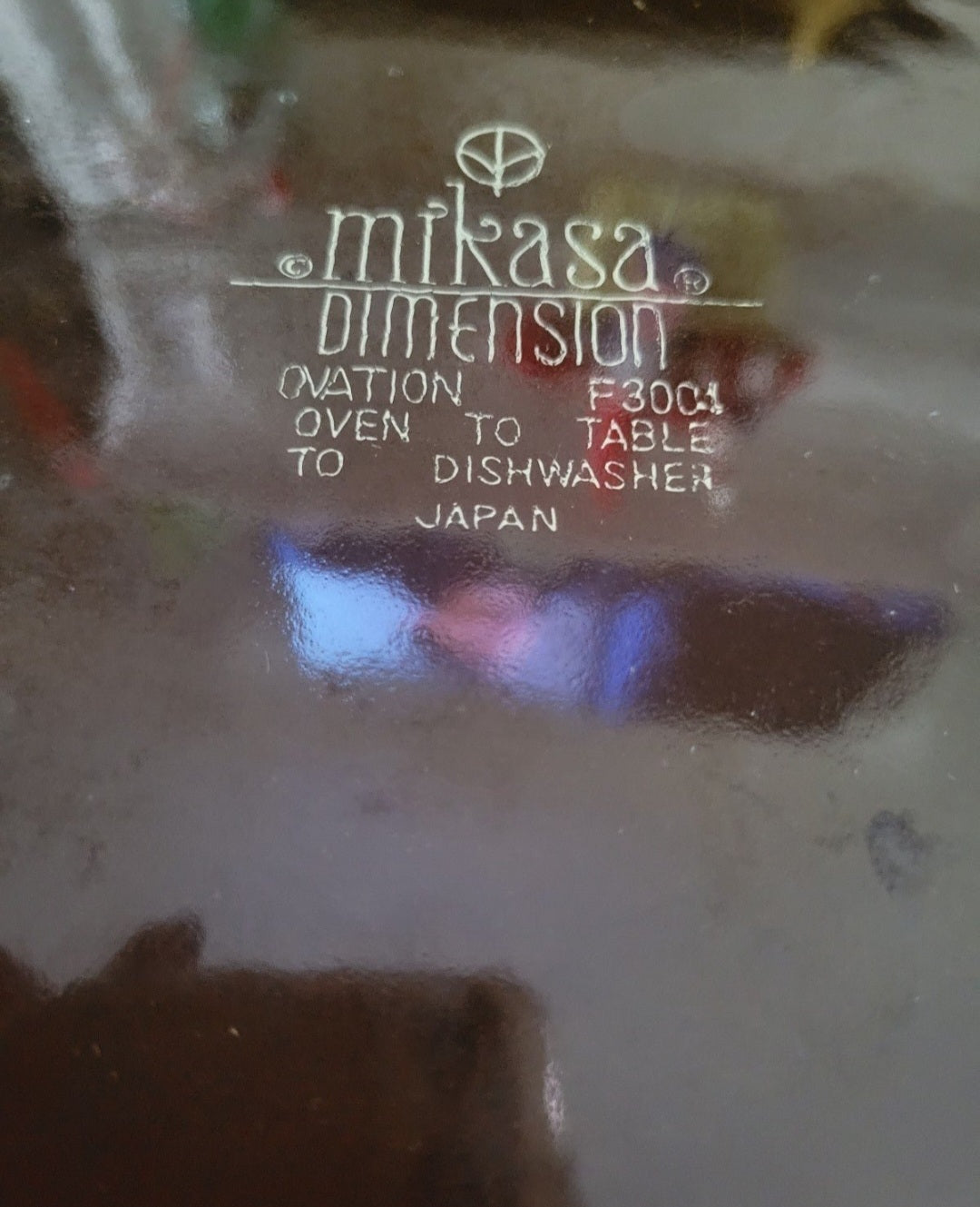 2 Mikasa Dimension Plates with Daisies 10.5" (115)