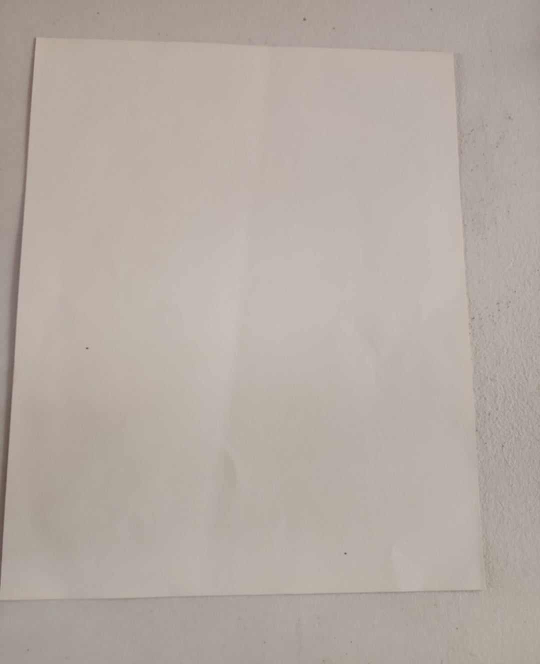 Paul Newman, Elizabeth Taylor, CAT ON A HOT TIN ROOF, 1958 photo. 8"x10"