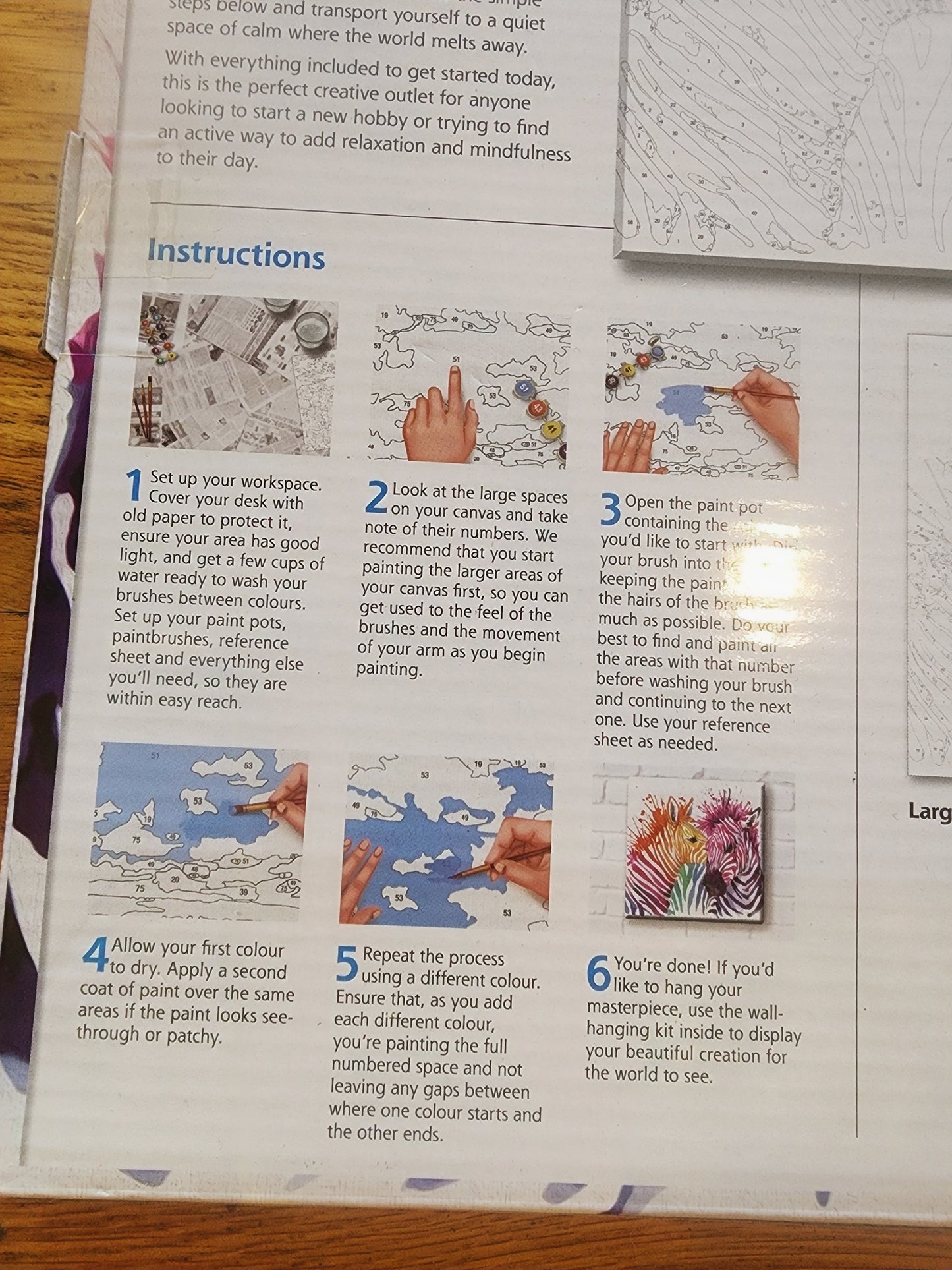 RAINBOW ZEBRAS paint by Numbers. 11.8" x 11.8"