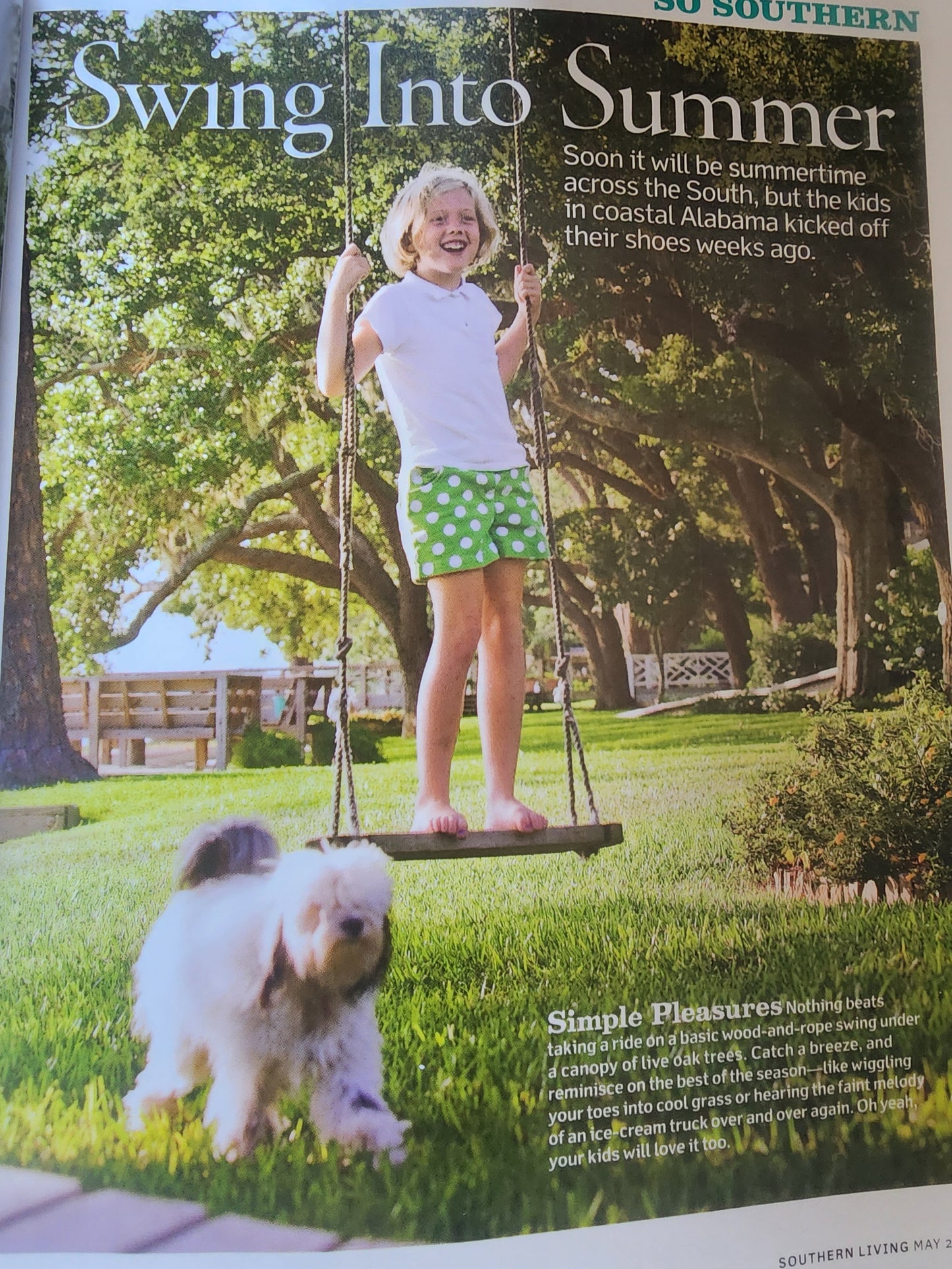 Southern Living Magazine Capture The Magic Hydrangeas Set The Stage May 2009