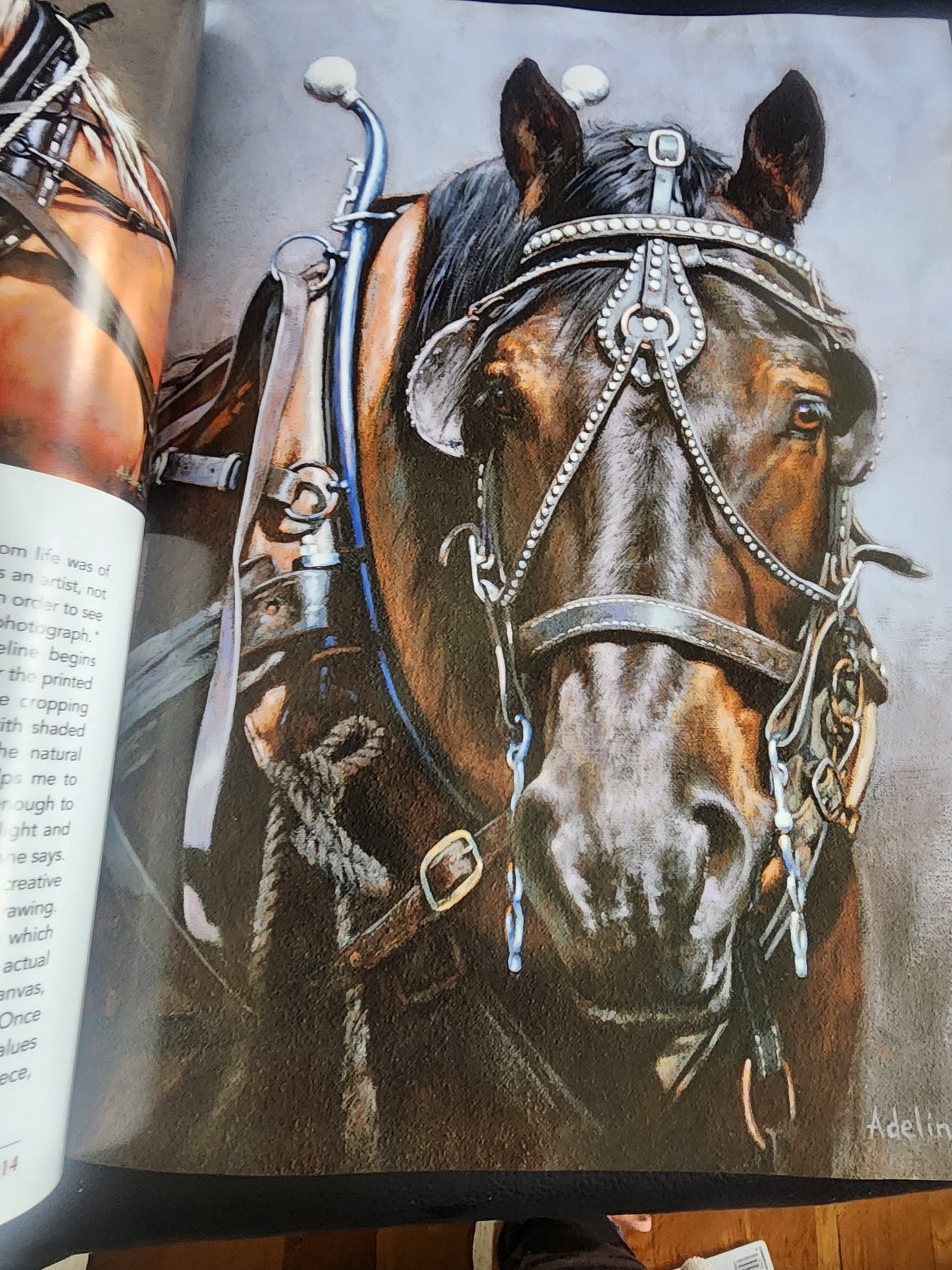 Arabella: Canadian Art Book 2014