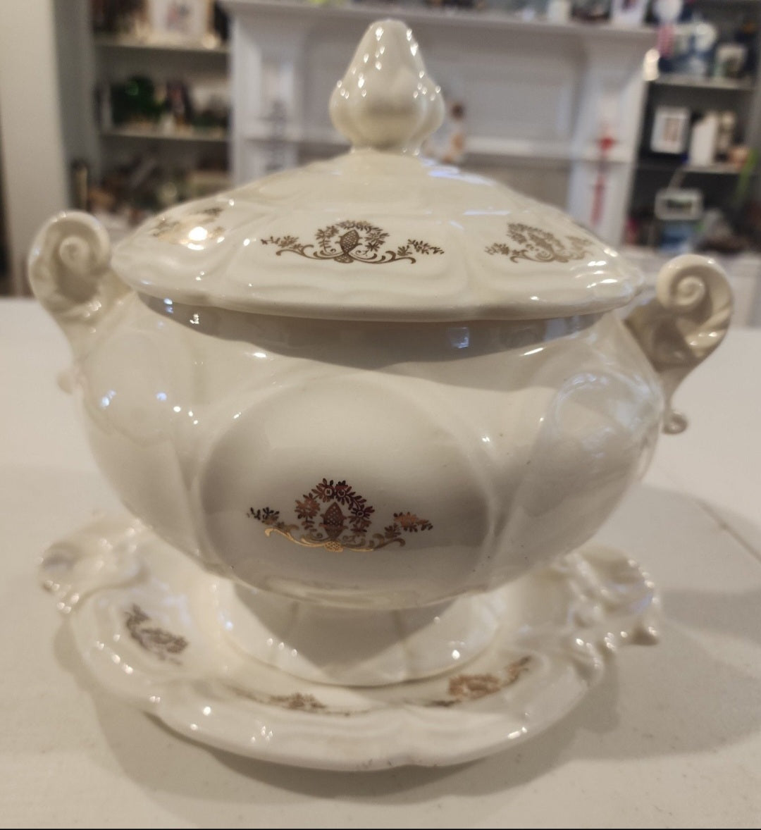 Vintage Porcelain Soup Tureen and plate  Gold Floral Design