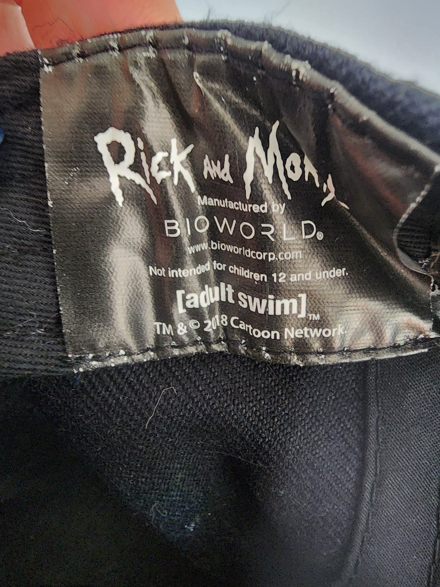 Rick & Morty Pickle Rick Snapback adjustable Hat Adult Swim Cartoon Network Bioworld in good condition never worn, mainly shelf wear.