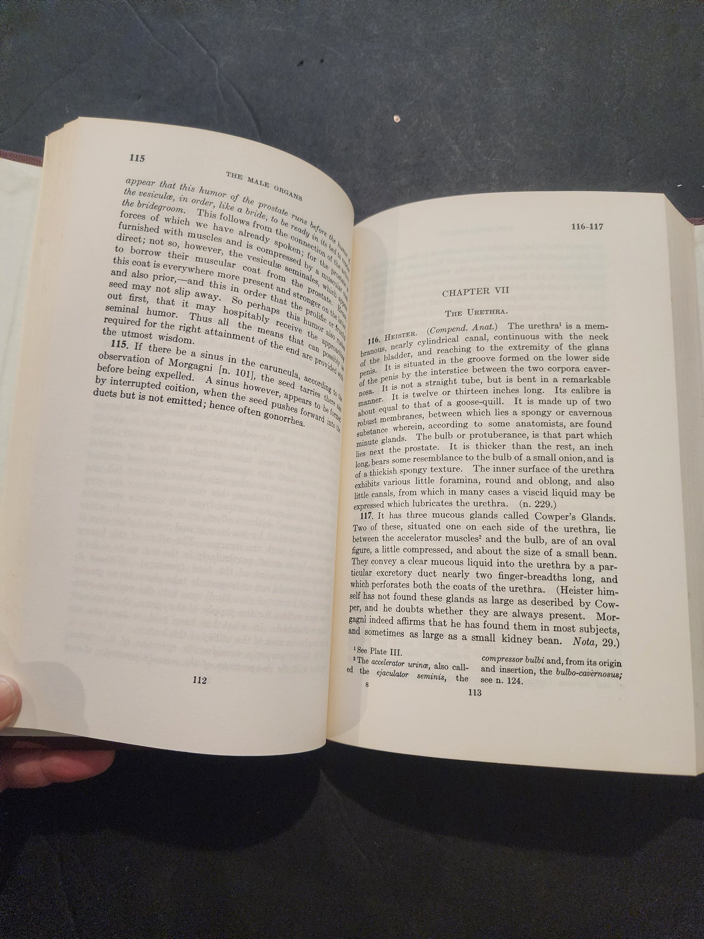 Emanuel Swedenborg THE ANIMAL KINGDOM Parts 4 & 5 Organs of Generation SSA 1955
