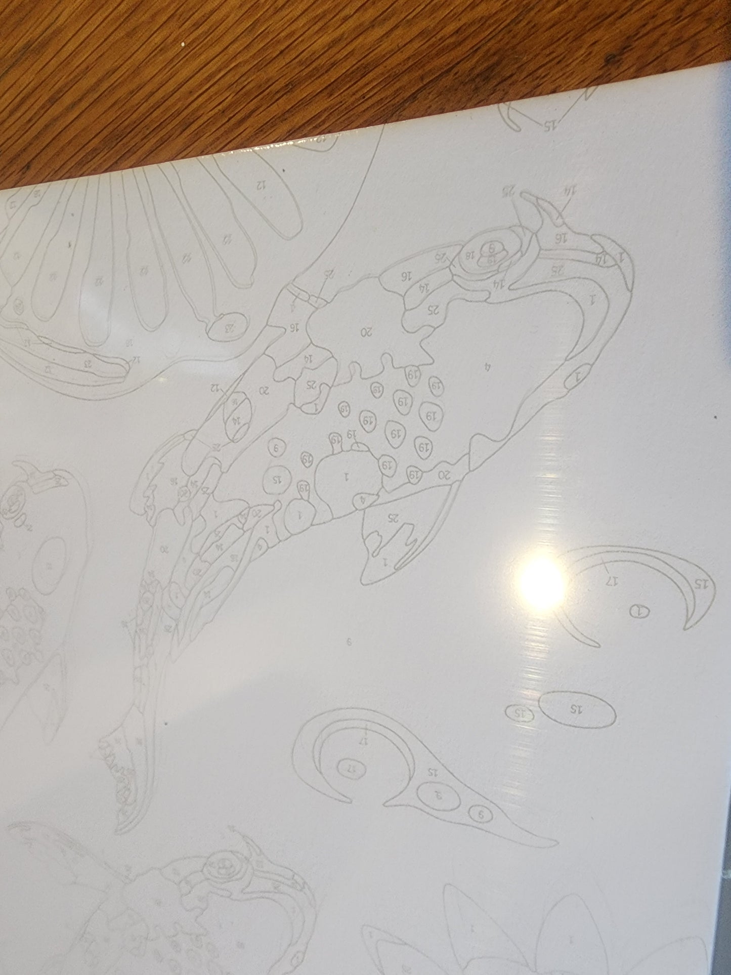 Art Maker PAINTING BY NUMBERS: KOI FISH w/ Supplies~~NIP