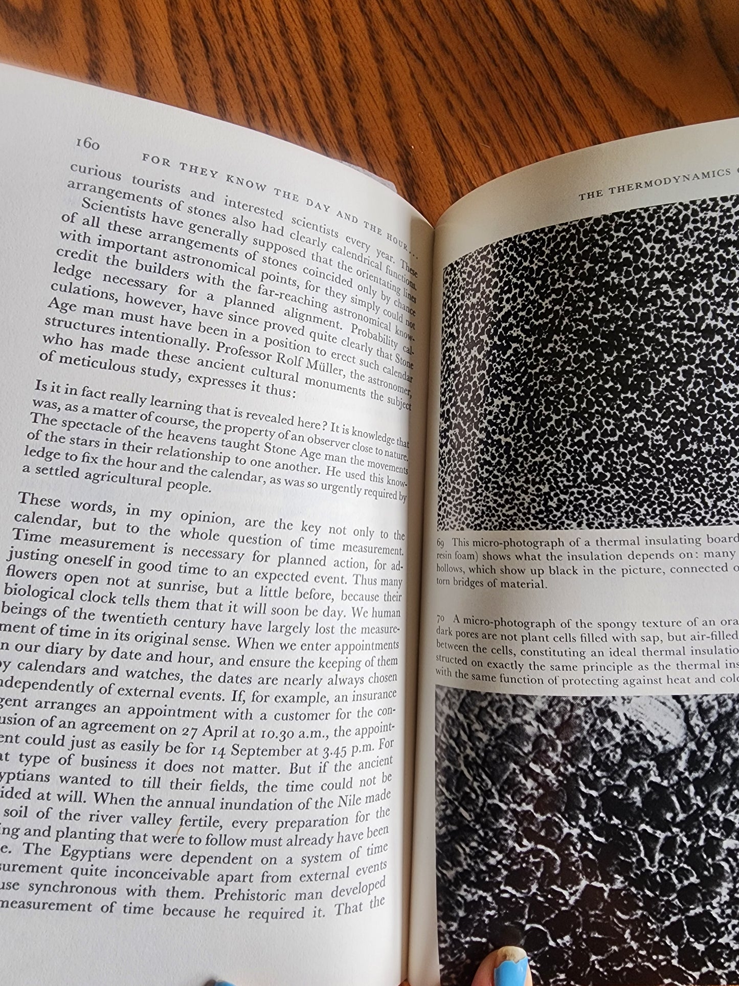NATURE, MOTHER OF INVENTION: ENGINEERING OF PLANT LIFE By Felix R Paturi 1st ed.