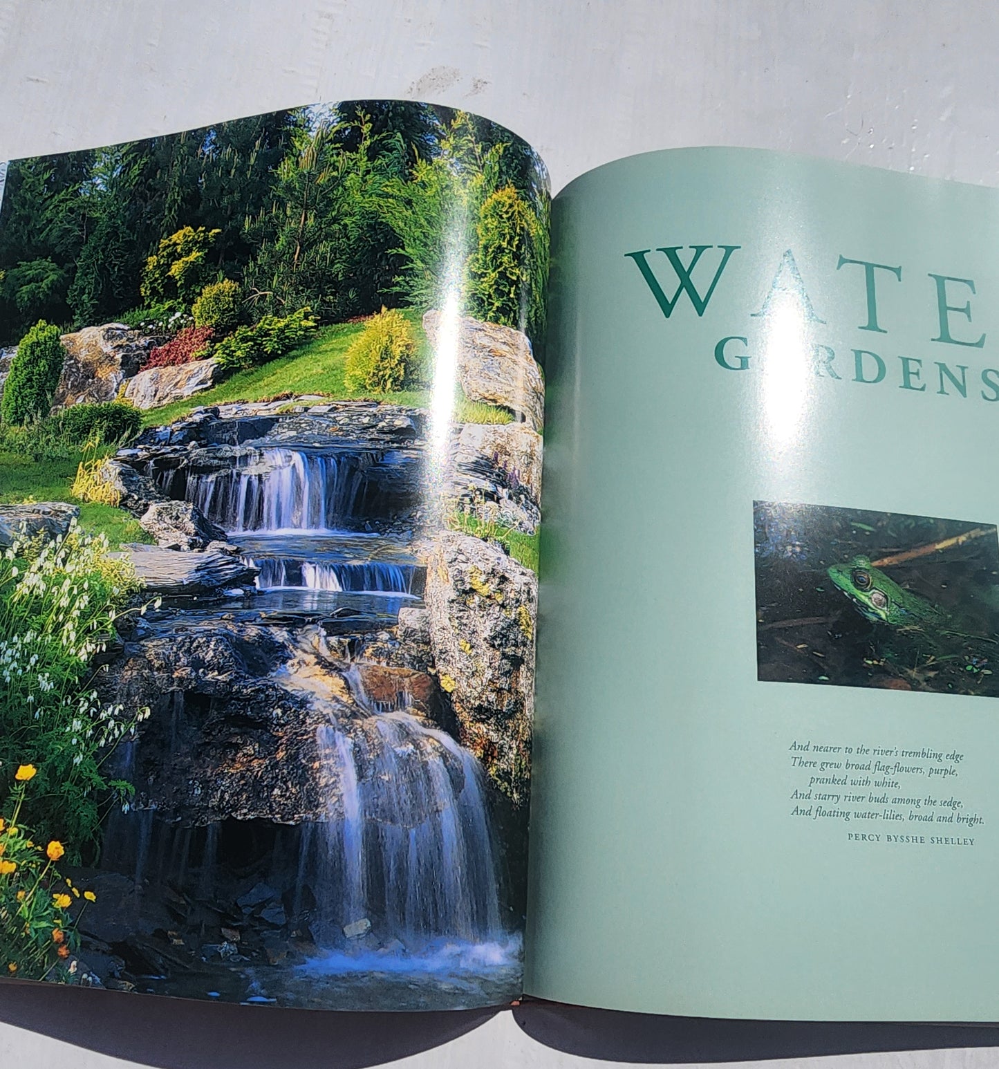 Glorious Gardens: Designing, Creating, Nurturing HB
Book by Jacqueline Hériteau