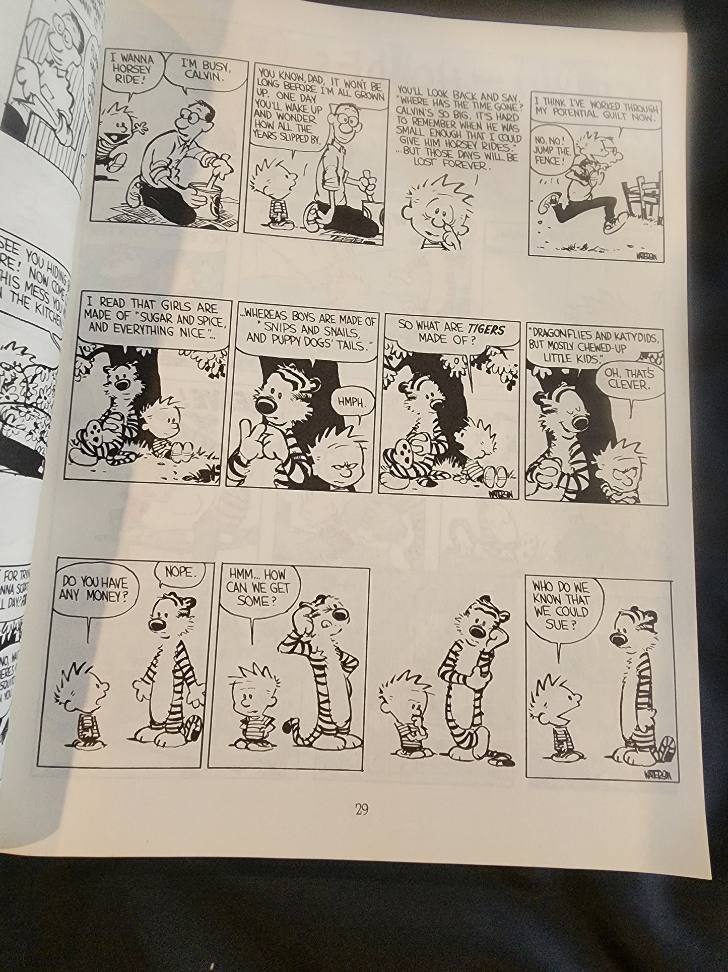 The Authoritative Calvin and Hobbes (A Calvin And Hobbes Treasury) 1990