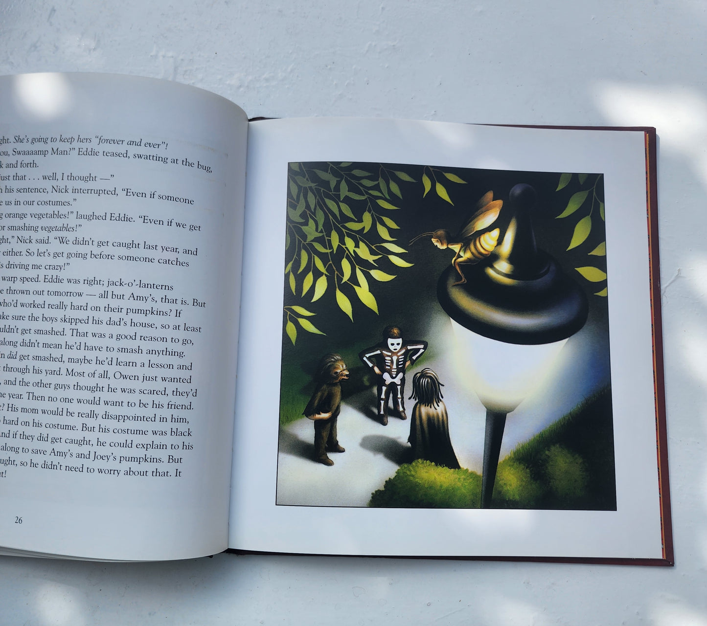 Owen's Choice : The Night of the Halloween Vandals HB Book