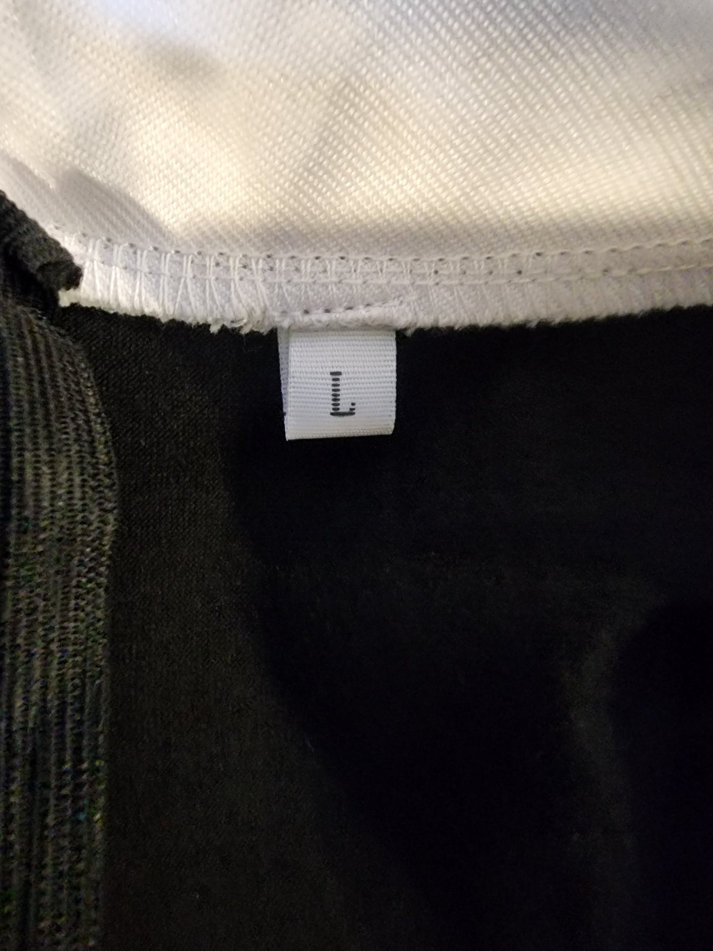 Women's Wednesday Adam's Dress Large Long Sleeve Peter Pan Collar Cute Fit and Flare Aline Dress.