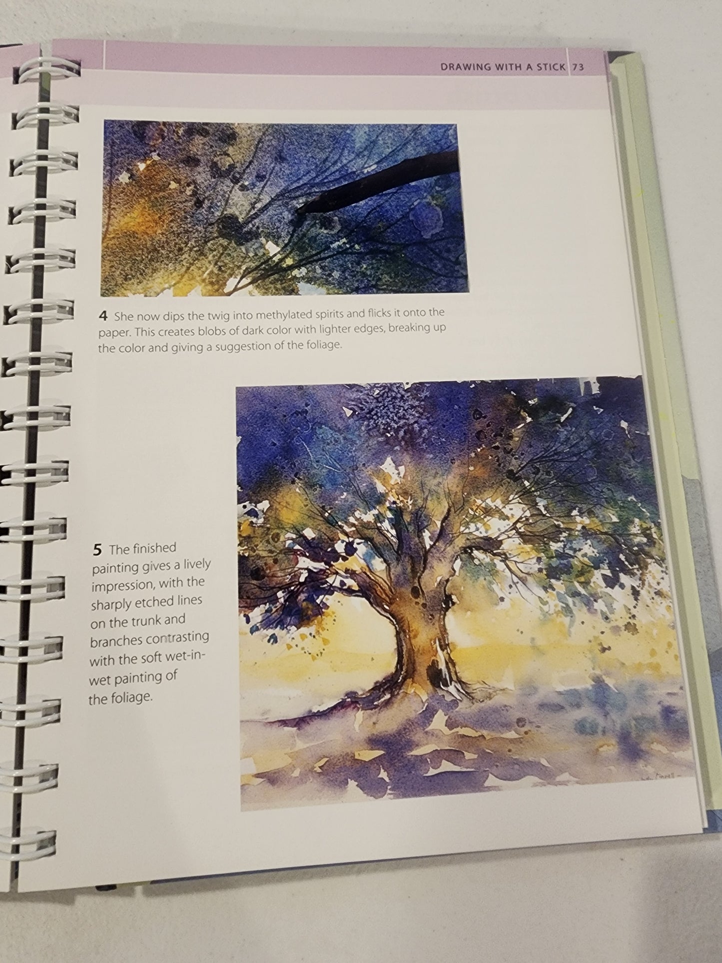 Artist's Bibles Ser.: The Watercolor Artist's Bible by Marylin Scott (2009,...