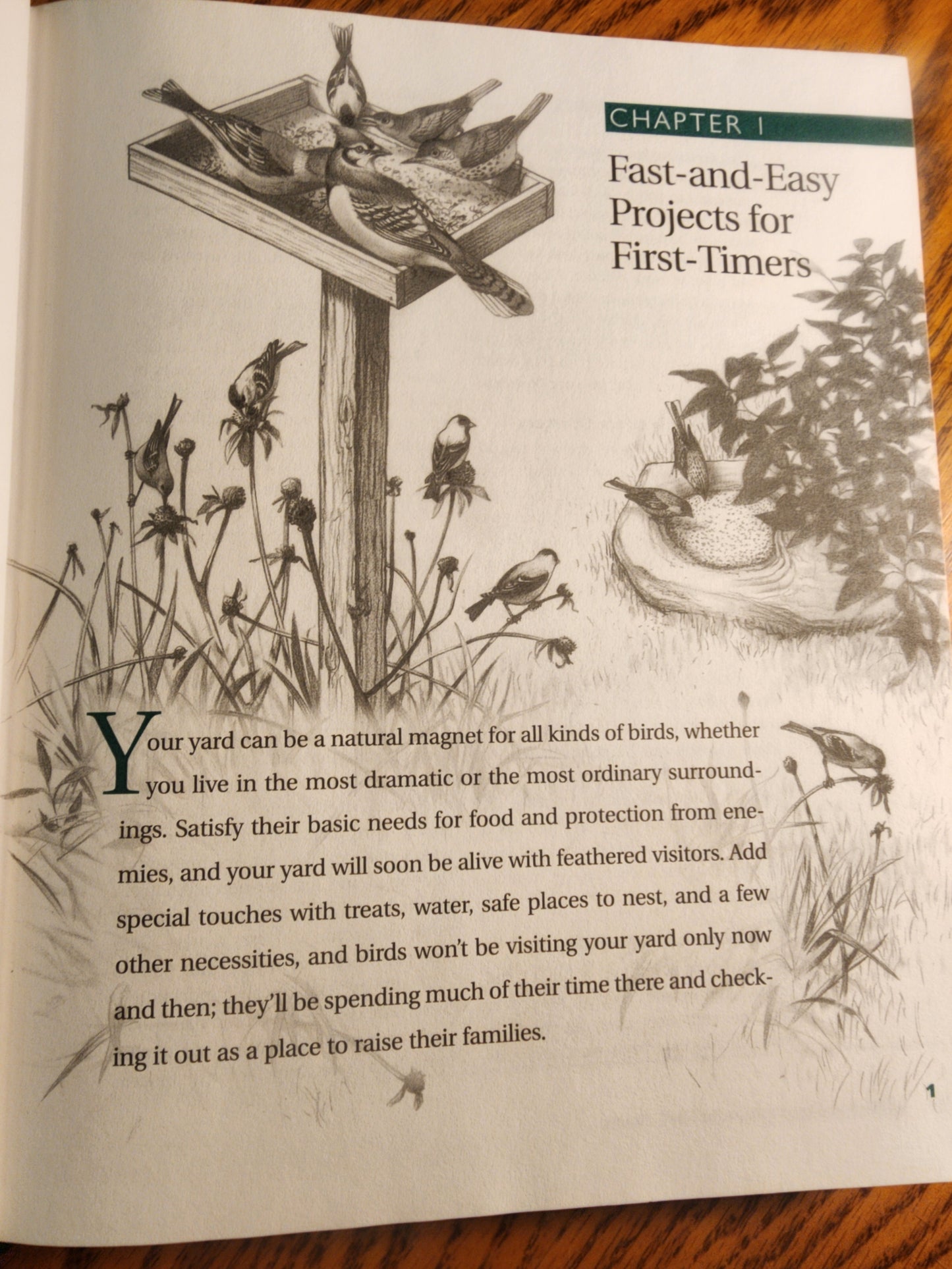 Projects for the Birder's Garden: Over 100 Easy Things that You Can Make to Turn