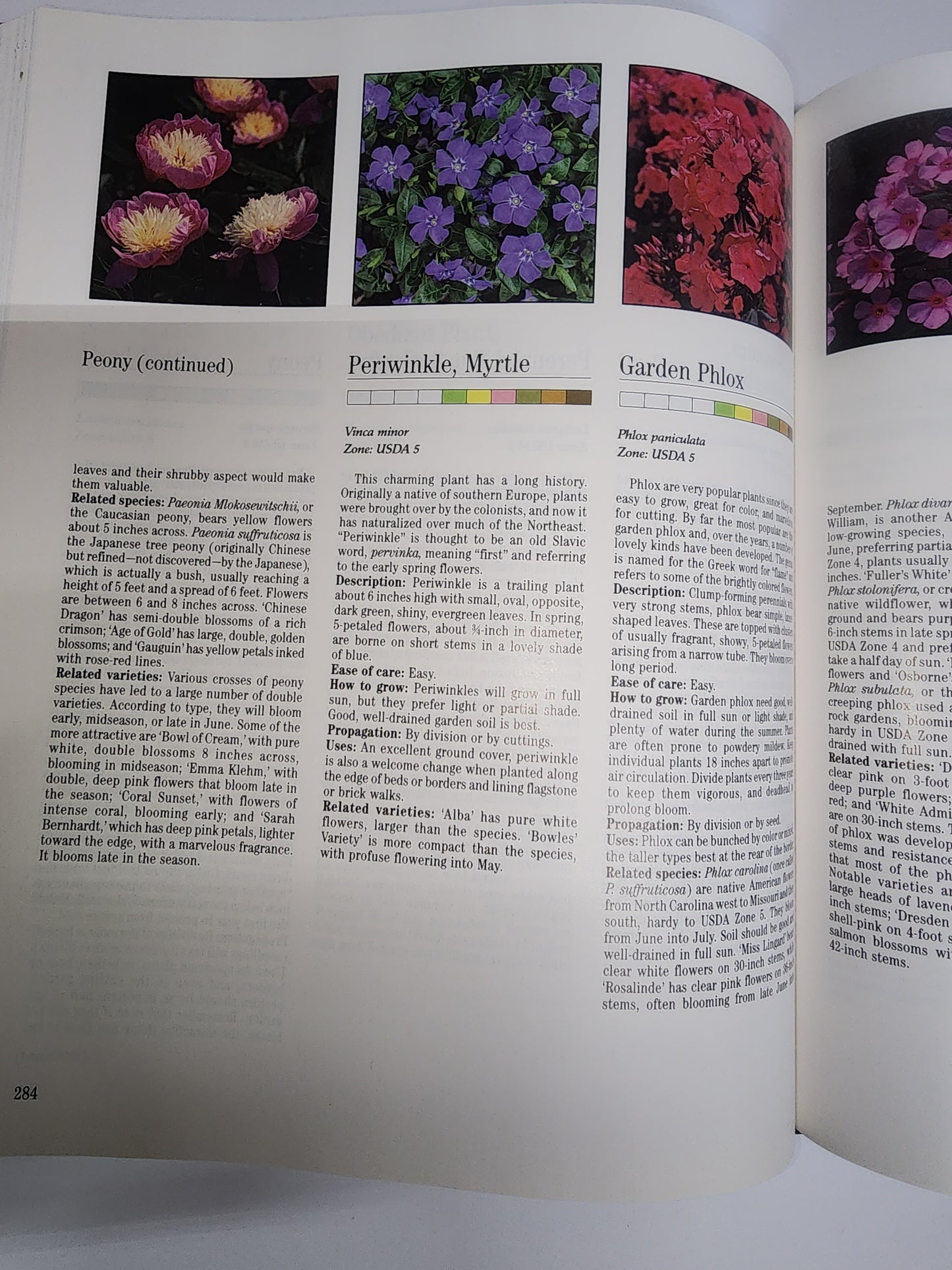 TREASURY OF GARDENING COLLECTOR BOOK ANNUALS PERENNIALS VEGIES HERBS LANDSCAPE