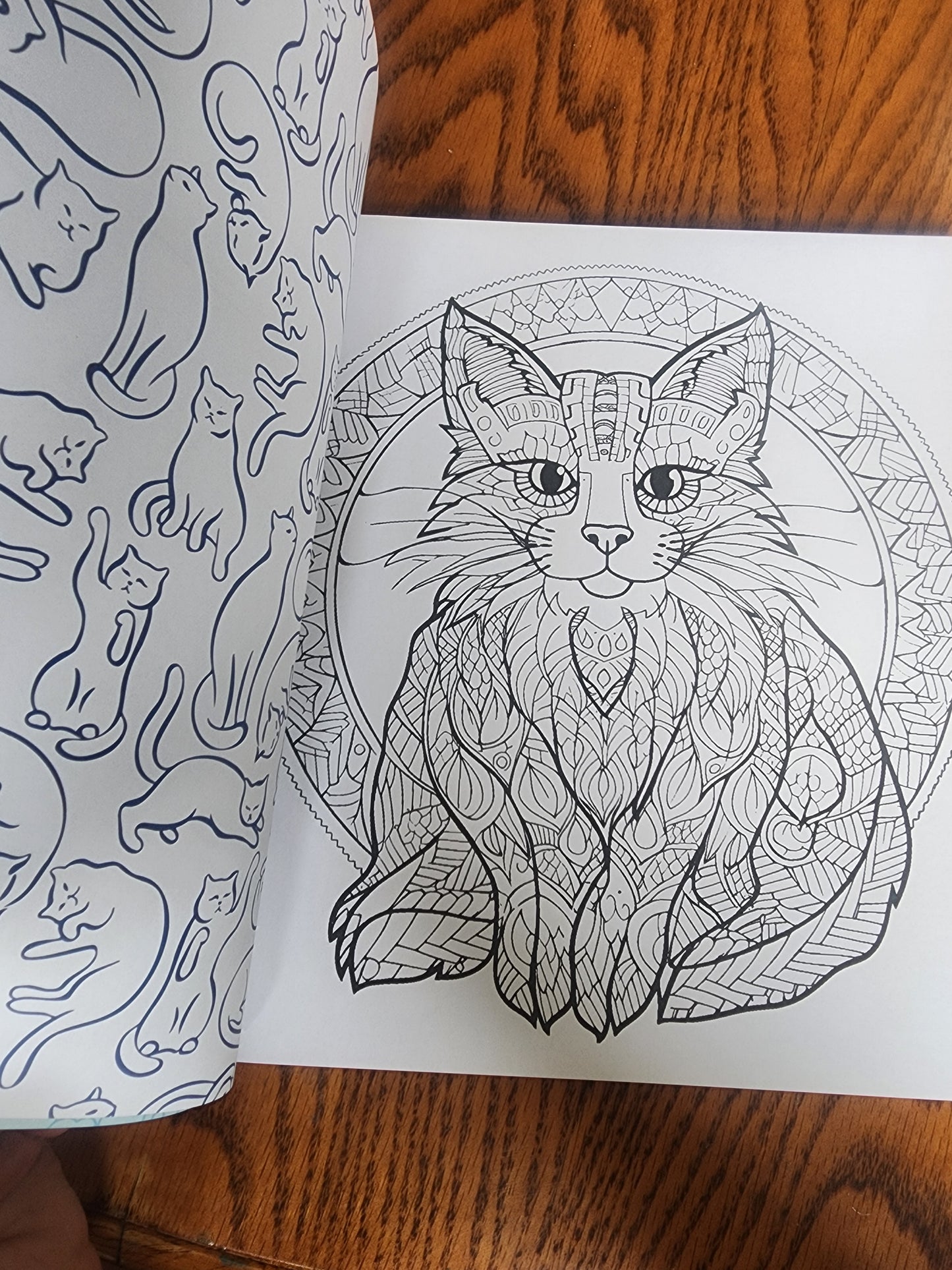 Creative Cats Coloring Book: Cat-tastic Kitties to Color". 100+ pages to color