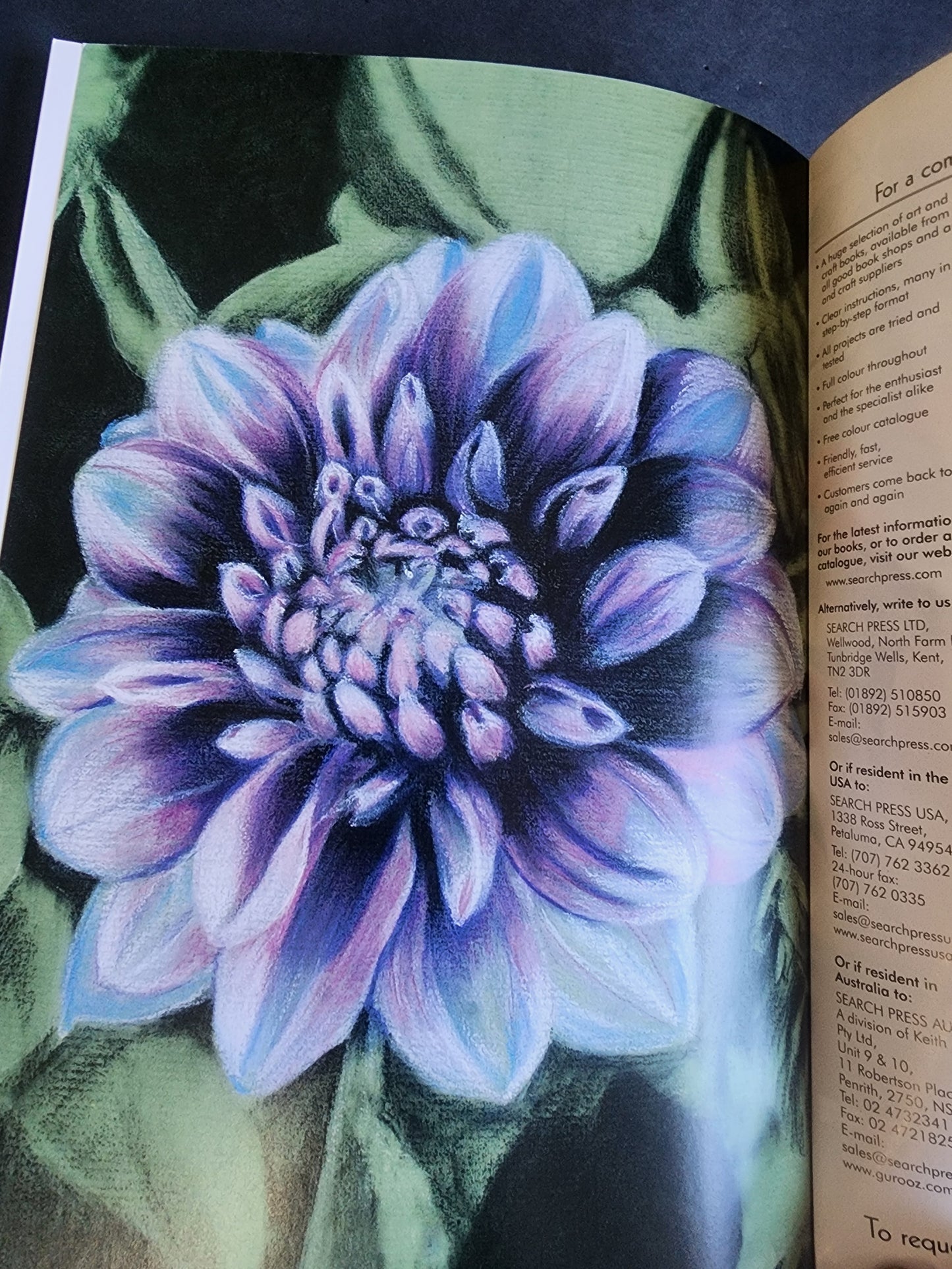 Draw Flowers using pencils, pastels, crayons and charcoal paperback Annie Pieper softcover book