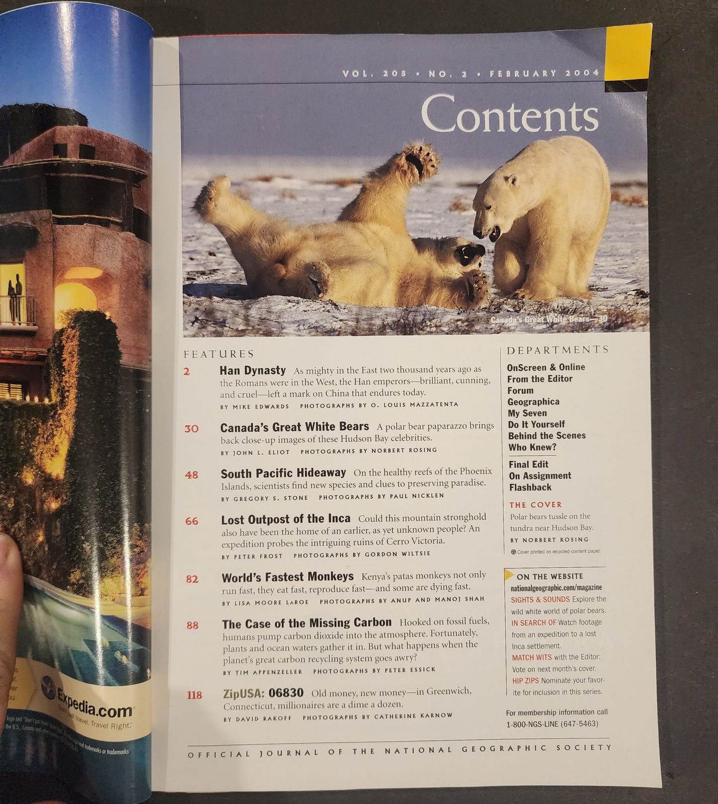 NATIONAL GEOGRAPHIC Feb 2004 issue "Great Whites" polar bears, Coral Hidaway