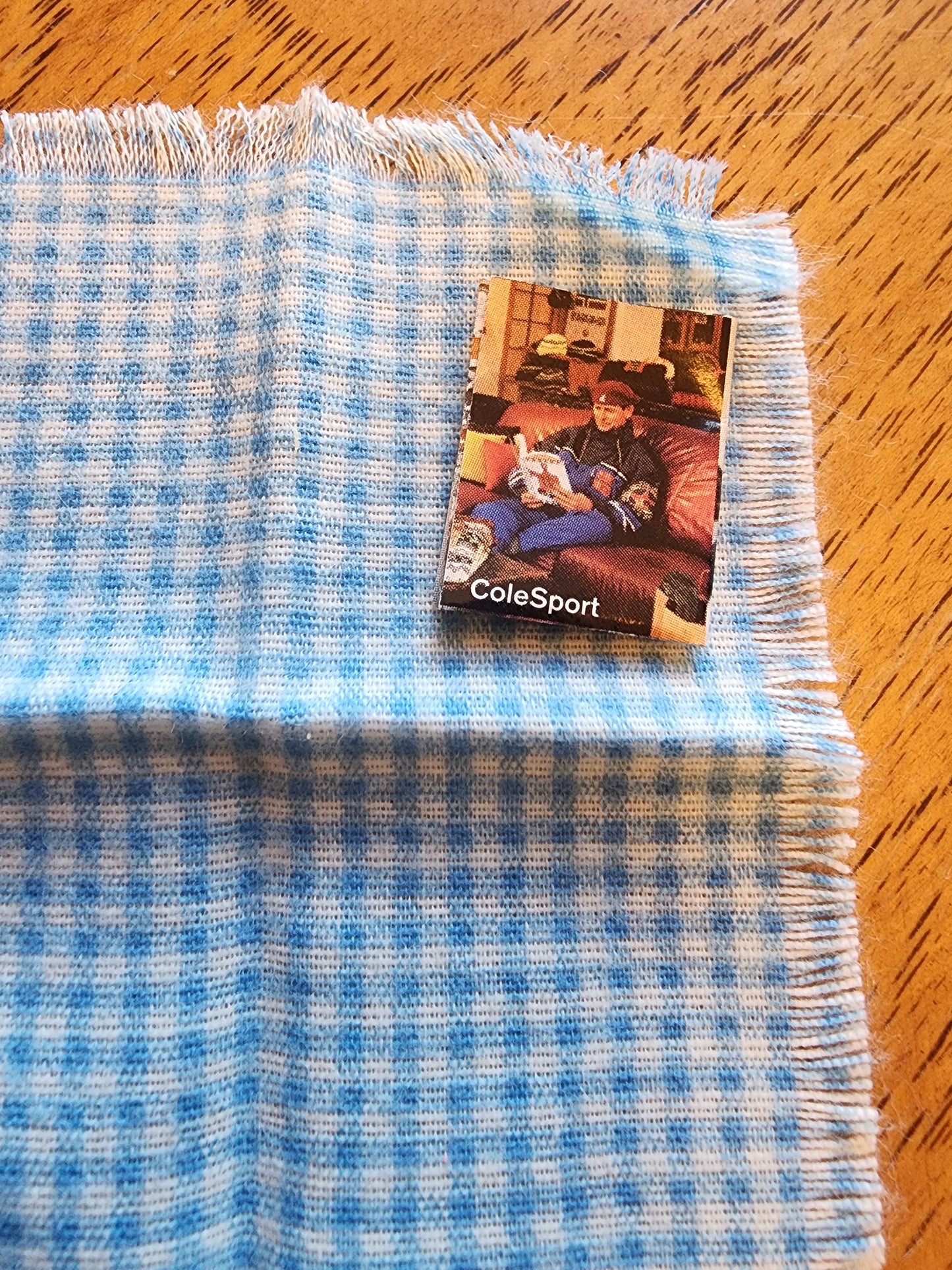 Vintage Miniature  Picnic blanket & book