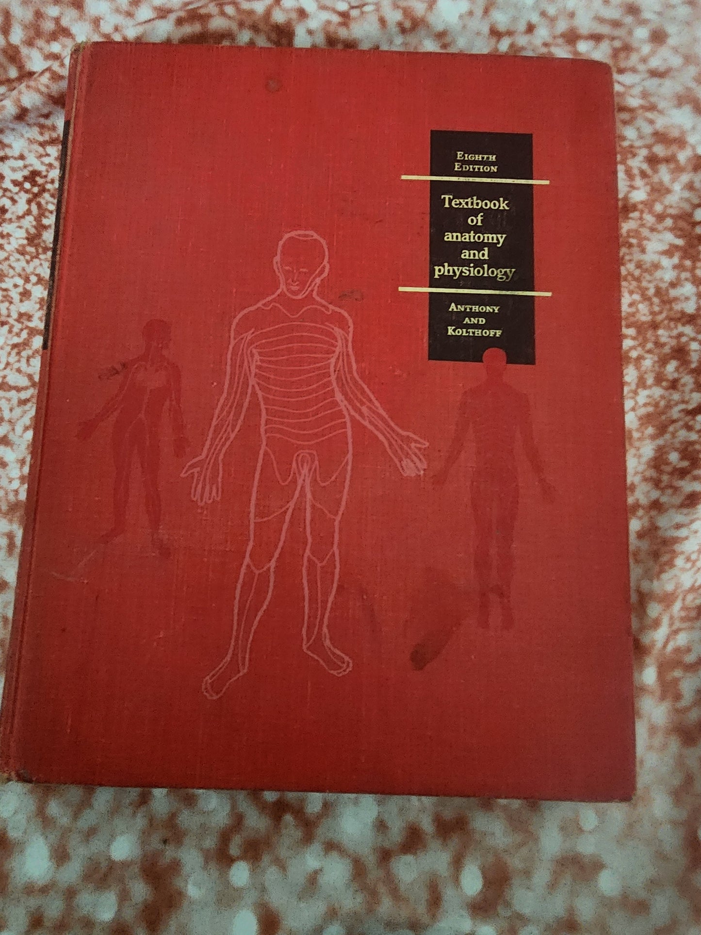 Textbook of Anatomy and Physiology 8th Edition 1971 Anthony and Kolthoff