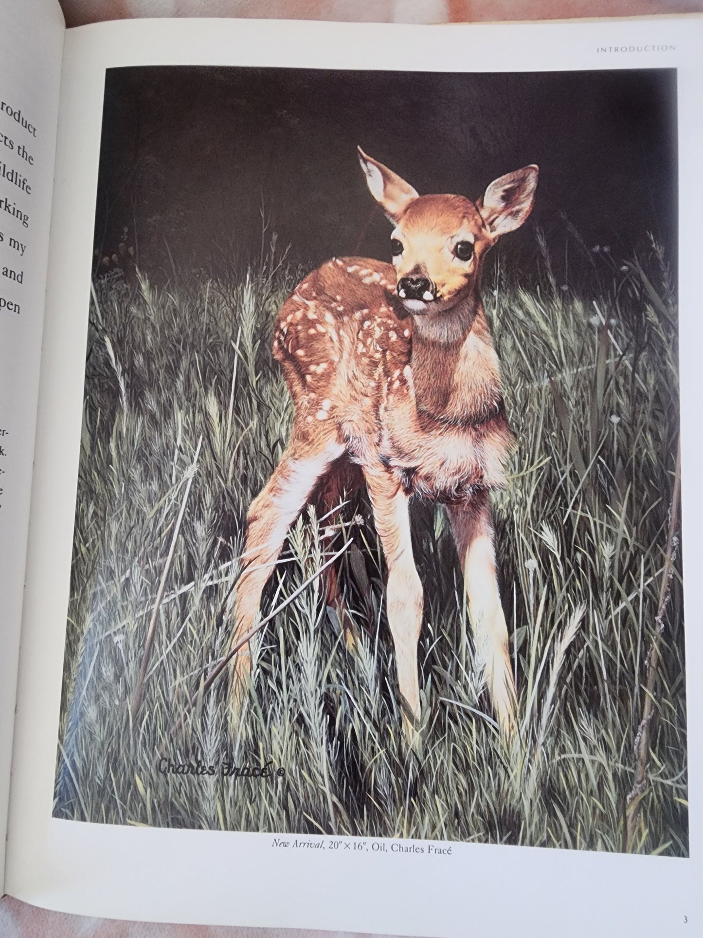 Wildlife Painting Step by Step hardback Book by Patrick Seslar. Art Book