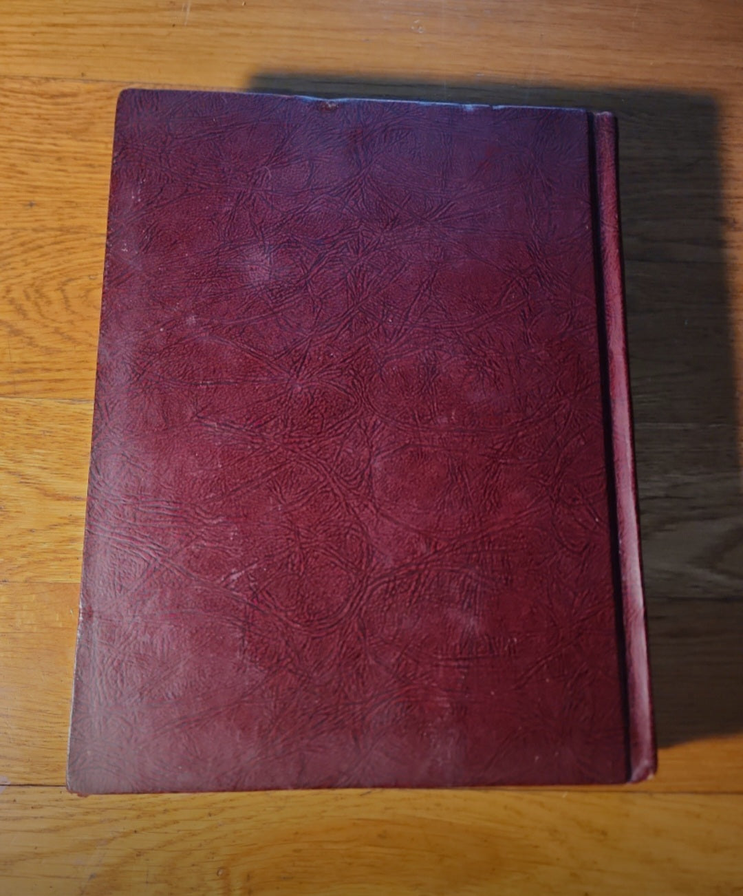 Vintage Book Britannica Book Of The Year 1966