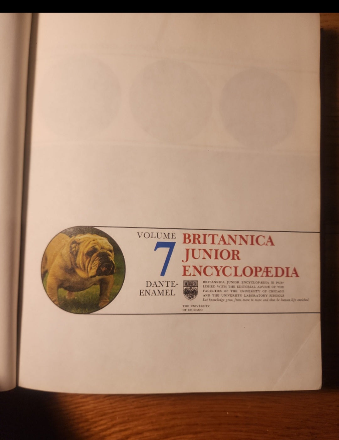 Vintage 1975 Britannica Junior Encyclopedia, Volume 7