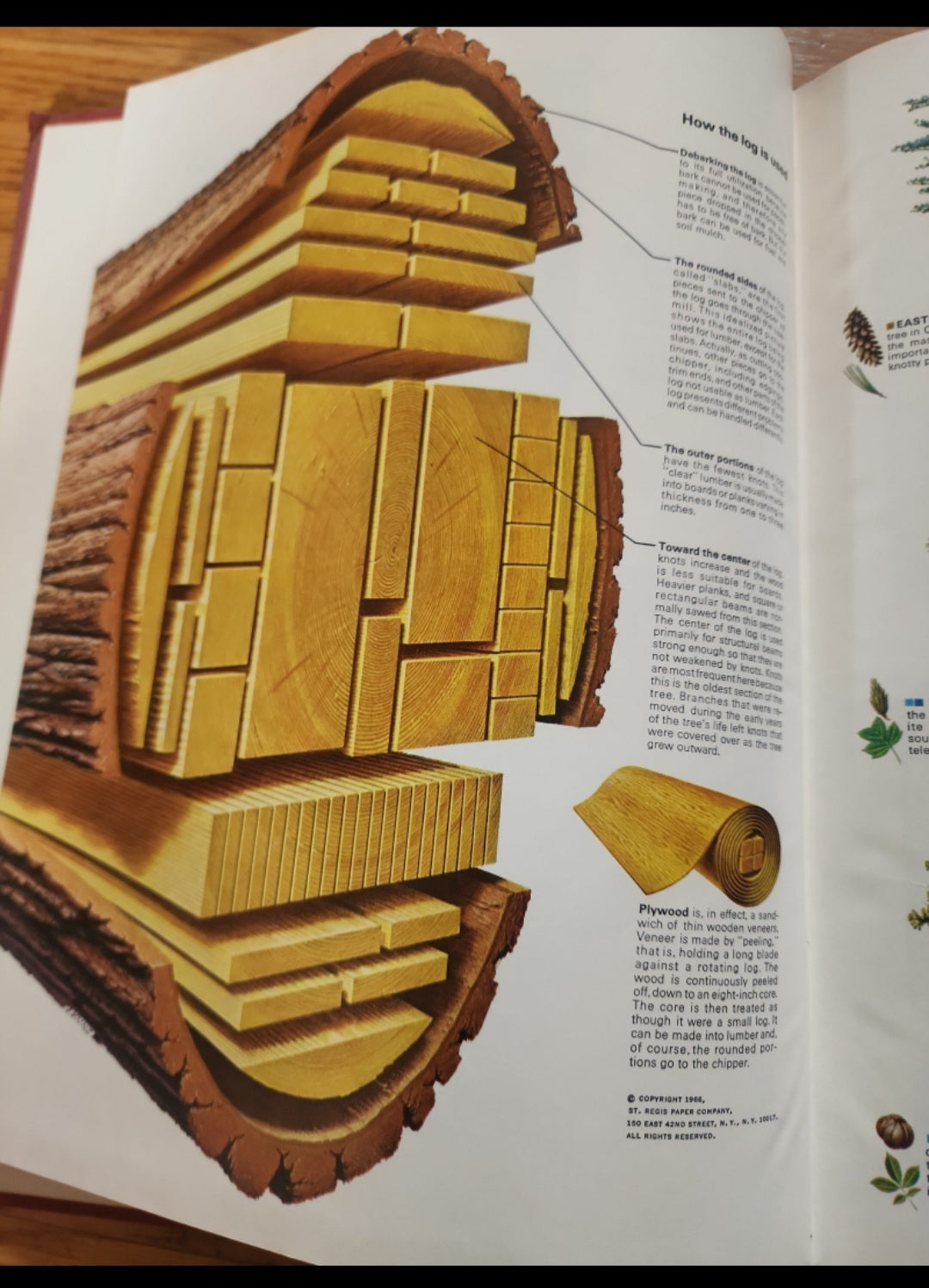 Popular Mechanics Do It Yourself Encyclopedia 1968 Vol. 9,