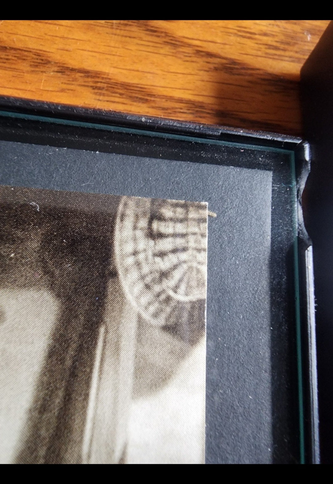 3 Stooges and Laural & Hardy 4x7 framed pictures