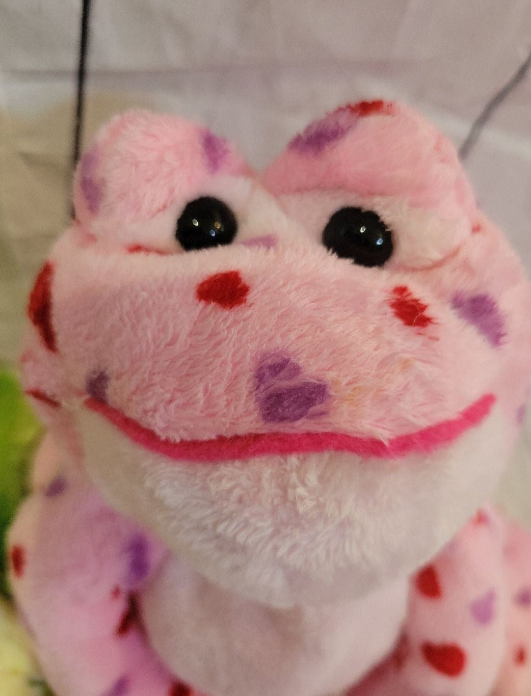 Webkinz Plush Frogs - Tie Dye & Valentine's Heart Frog