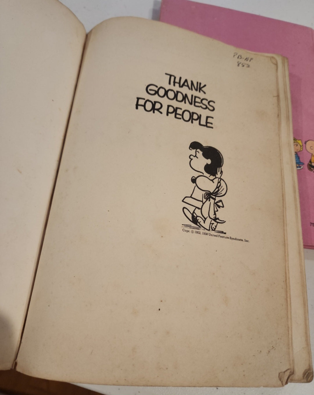 Nostalgic Charlie Brown Book Duo Vintage Charlie Brown Books  Thank Goodness for People, Be my Valentine