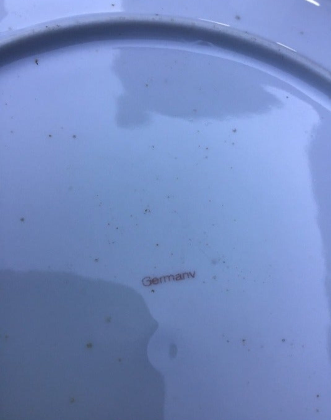 German Stoneware Plate depicting a family of deer in a picturesque forest scene