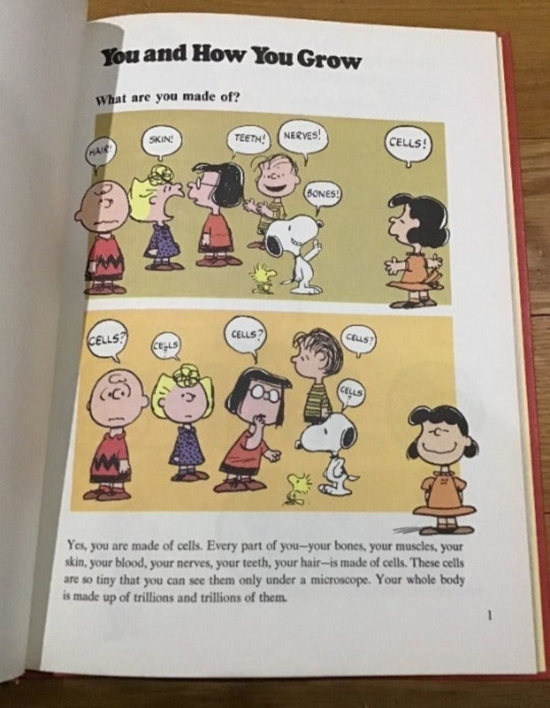 Charlie Brown's 'Cyclopedia Vol. 1 - Fun Facts About the Human Body!