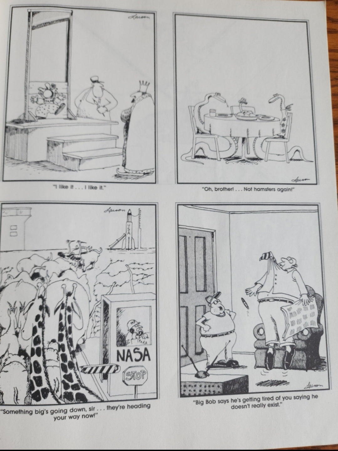 The Far Side Gallery Cartoons Comic Book by Gary Larson