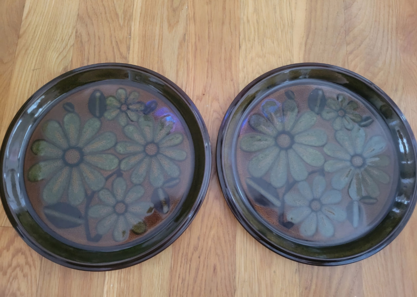 2 Mikasa Dimension Plates with Daisies 10.5" (115)