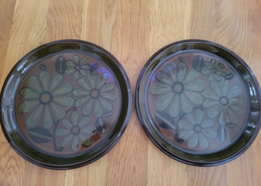 2 Mikasa Dimension Plates with Daisies 10.5" (115)