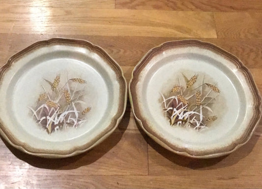 2 Mikasa whole Wheat “Granola” Vintage Stoneware Plates E8001
