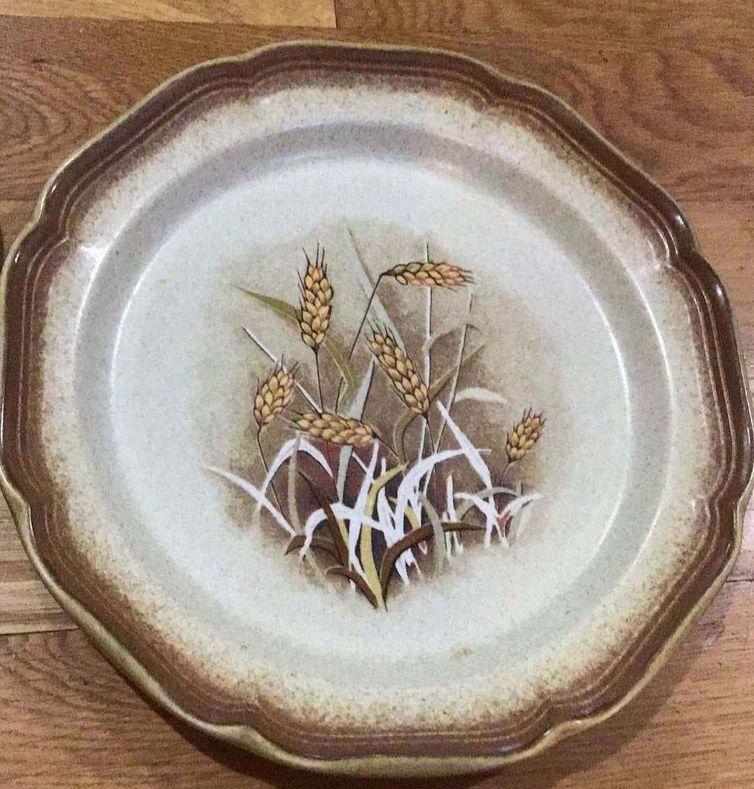 2 Mikasa whole Wheat “Granola” Vintage Stoneware Plates E8001