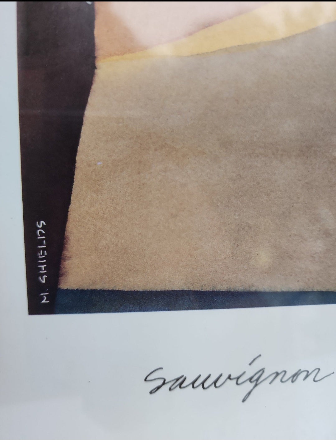 Framed Poster Sauvignon Blane Santa Barbara Winery Santa Ynez Valley California