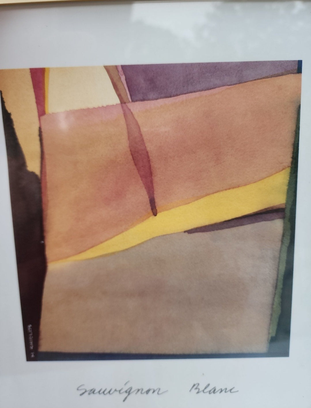 Framed Poster Sauvignon Blane Santa Barbara Winery Santa Ynez Valley California