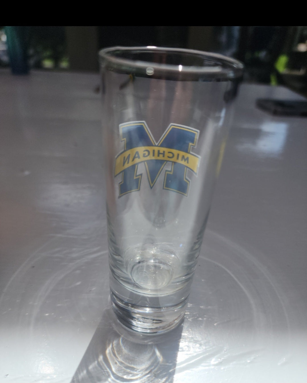 Michigan State Tall Shot Glass