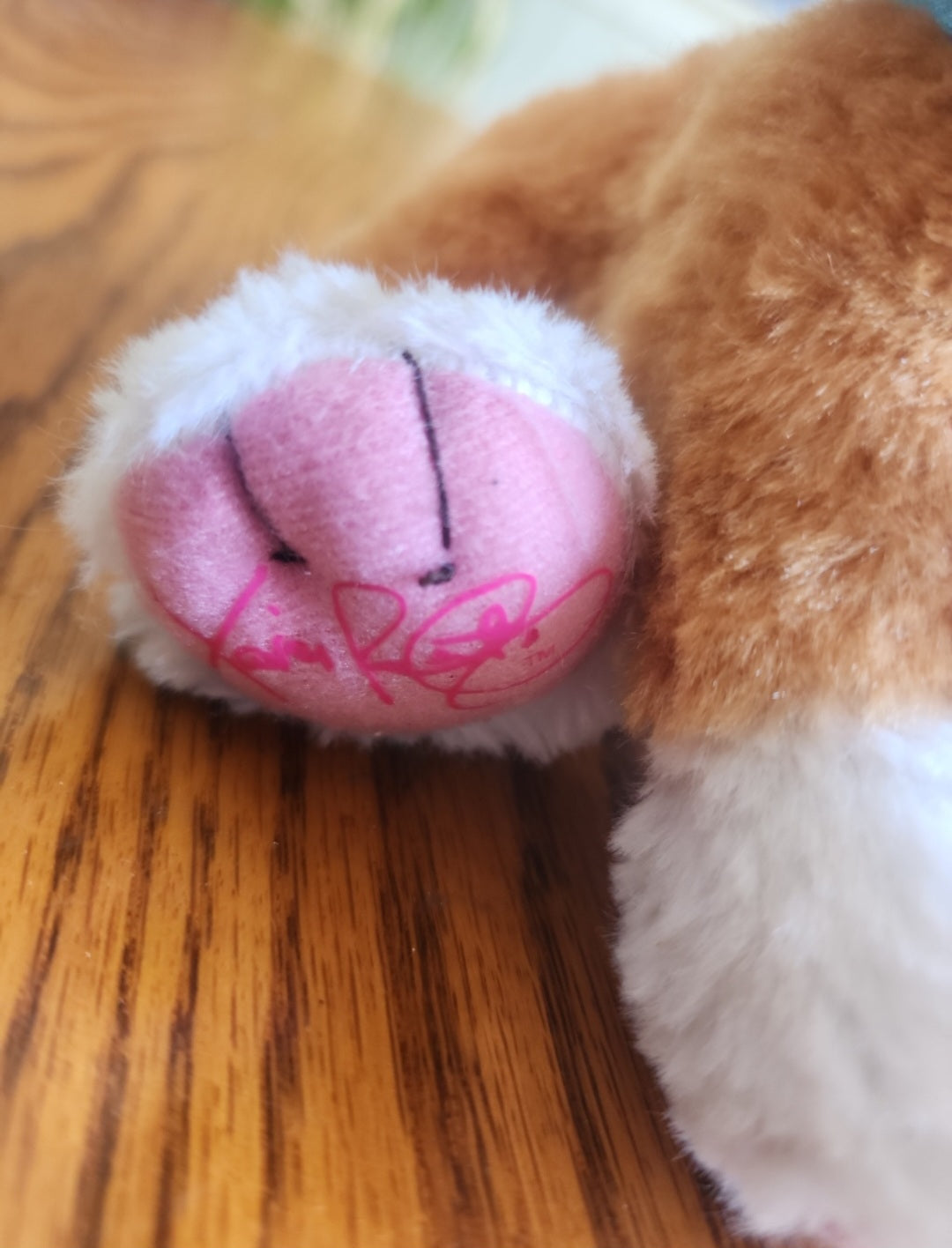 Orange Cabbage Patch Kids Adoptimals Kitty Cat Plush CPK Meows & Purrs