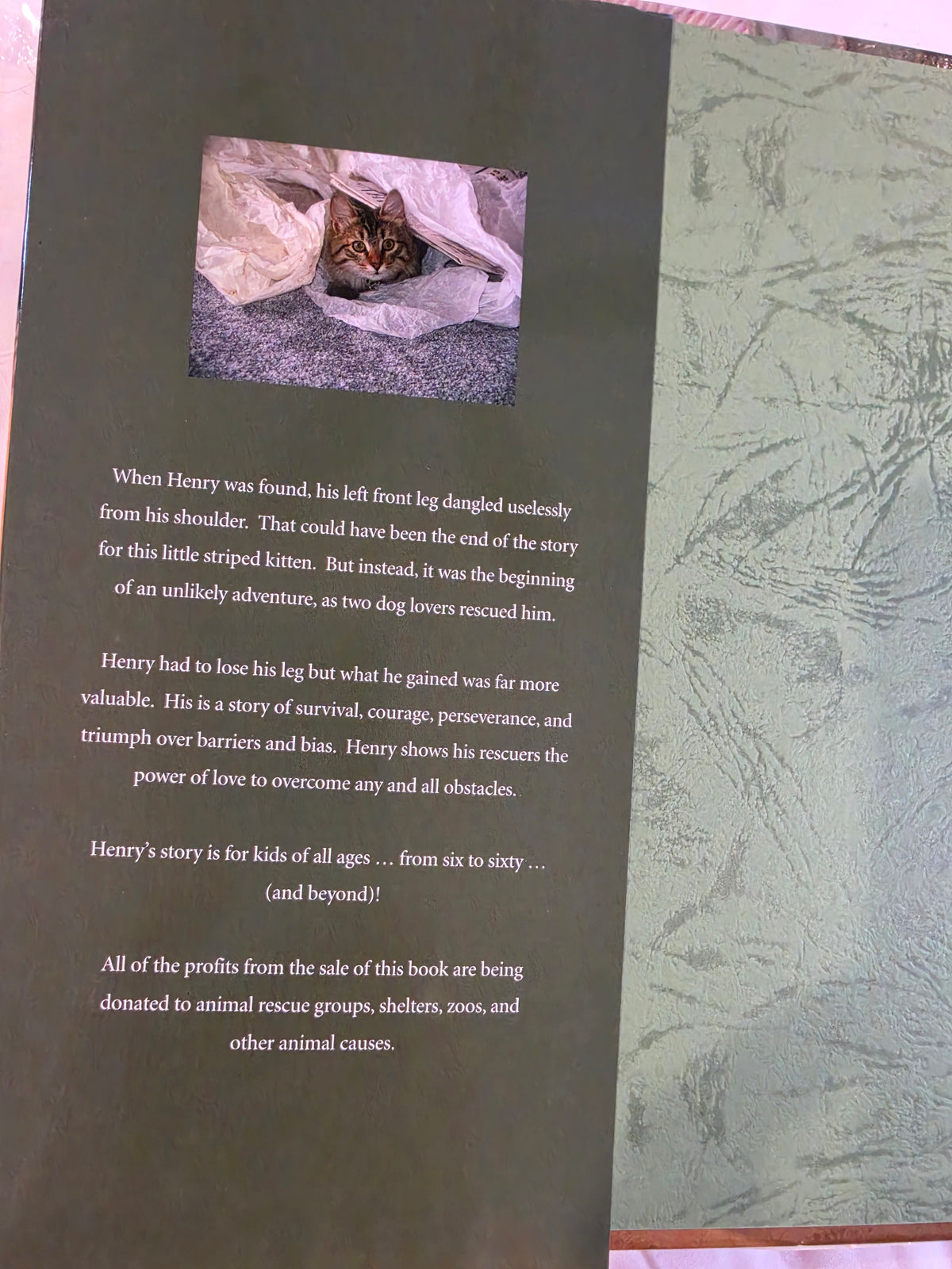 What's the Matter with Henry? The True Tale of a Three-Legged Cat HB Book,