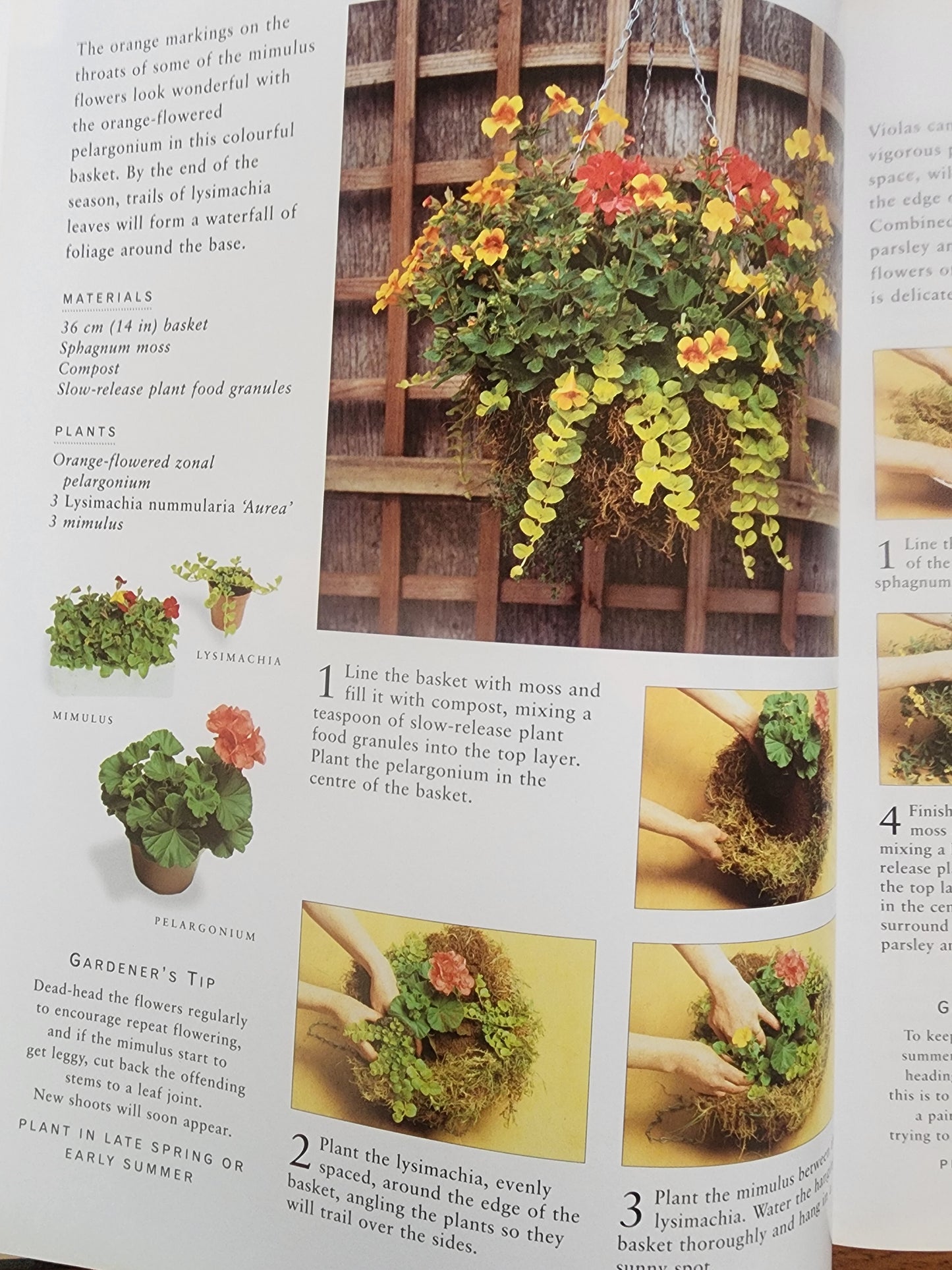 Container Gardening by Stephanie Donaldson 150 designs for pots, planters, boxes