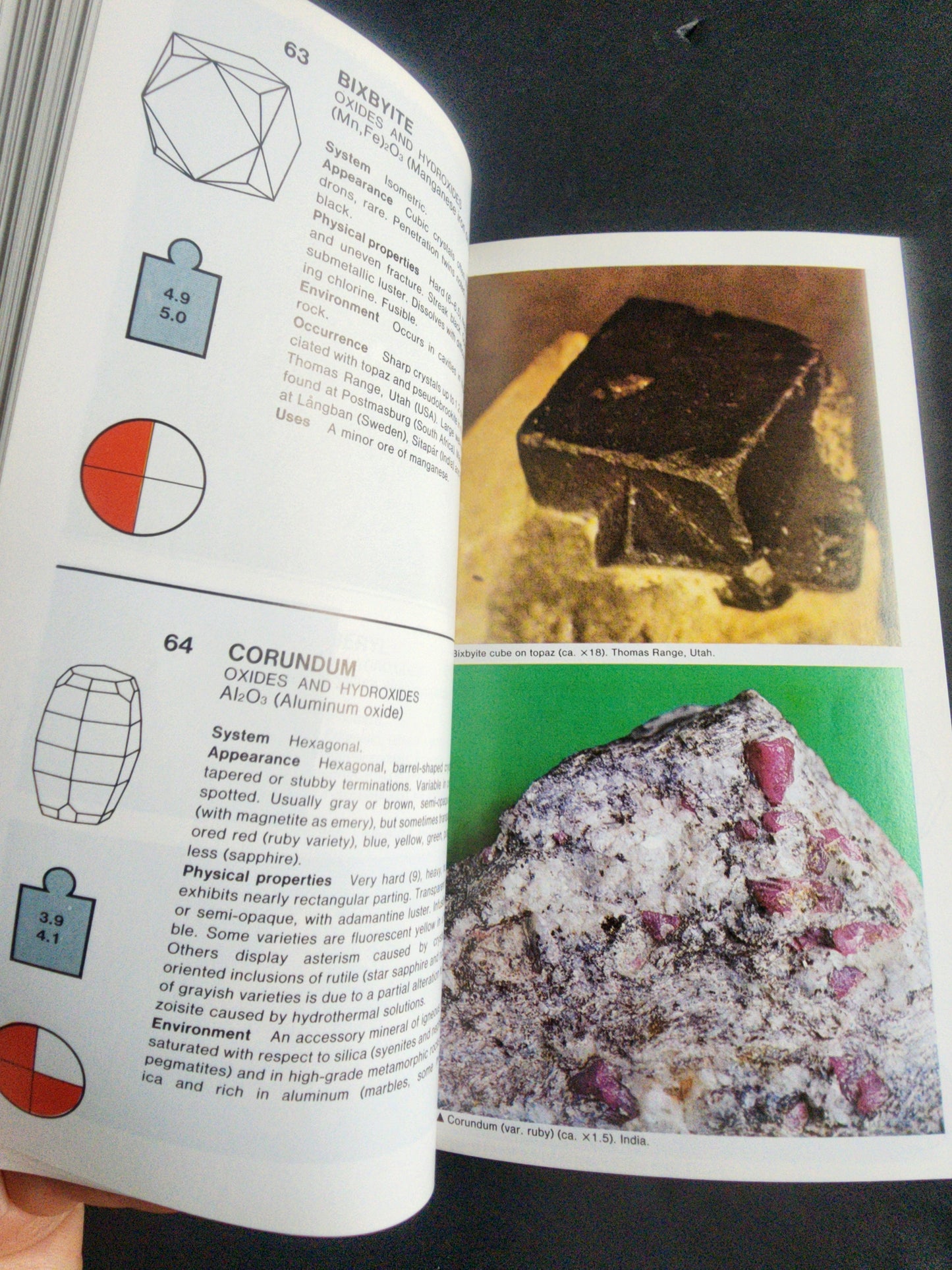Simon & Schuster's Guide to Rocks and Minerals Softcover Book