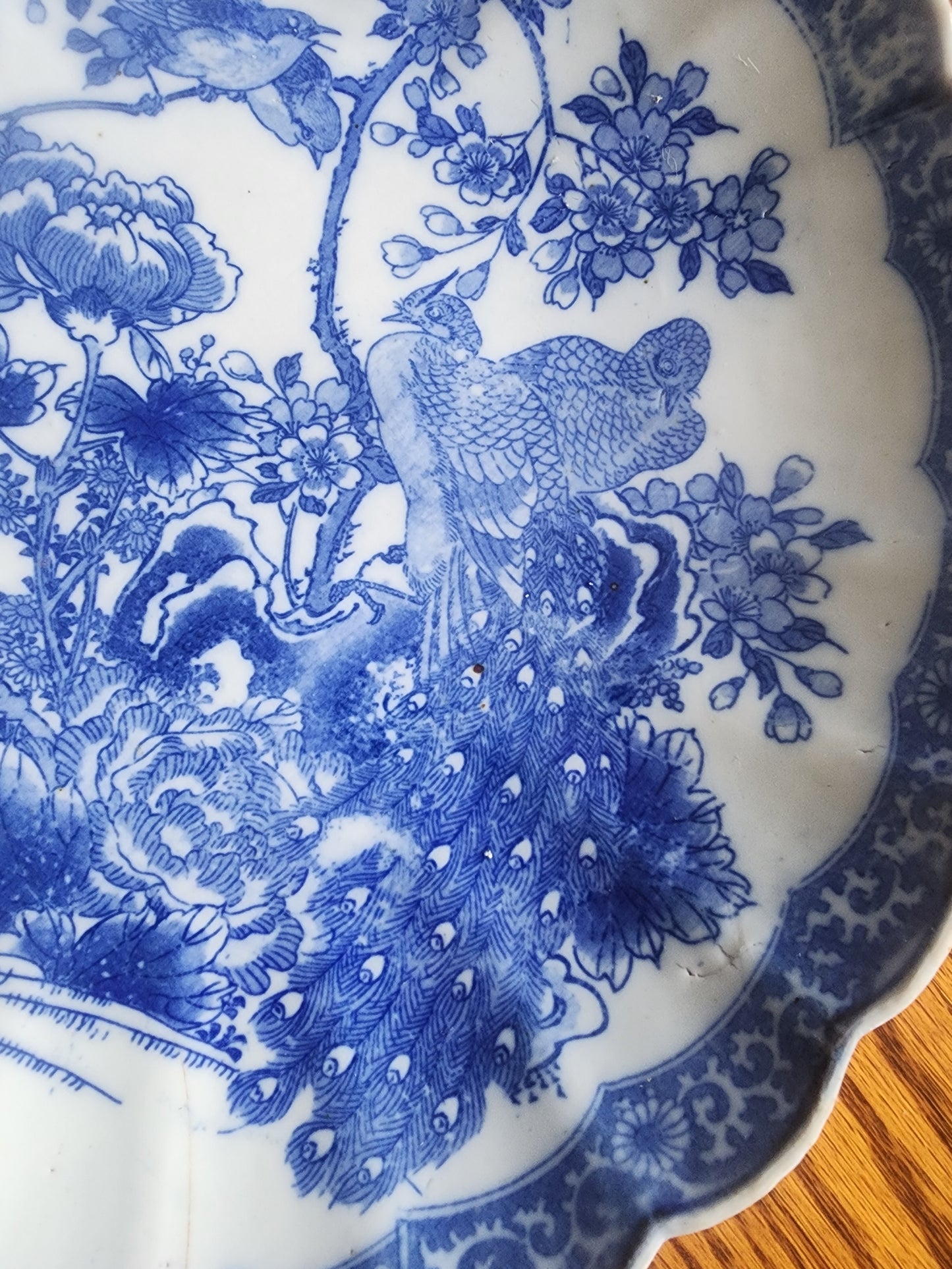 Antique Japanese Arita Blue & White 12" Shallow Bowl Peacock & Peony  Meiji Style