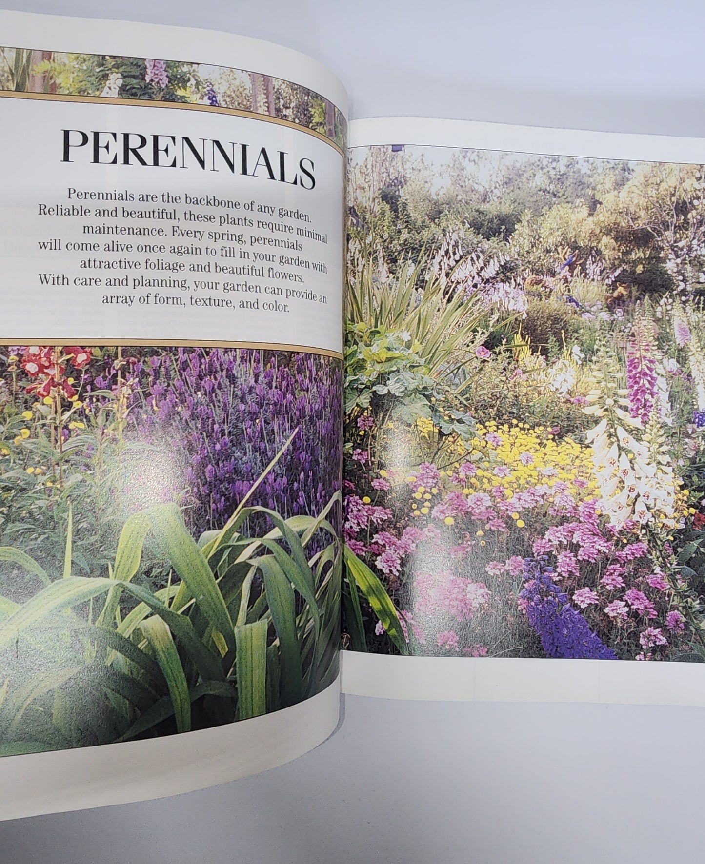 TREASURY OF GARDENING COLLECTOR BOOK ANNUALS PERENNIALS VEGIES HERBS LANDSCAPE