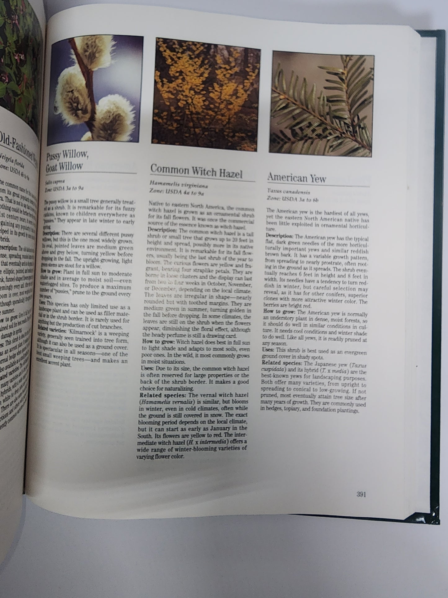 TREASURY OF GARDENING COLLECTOR BOOK ANNUALS PERENNIALS VEGIES HERBS LANDSCAPE
