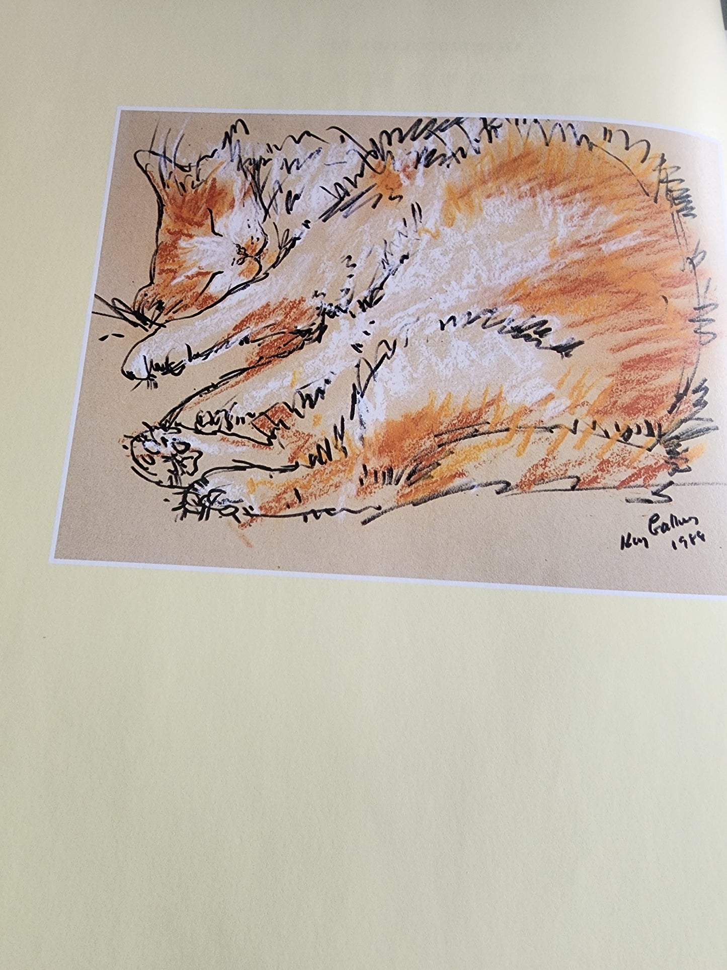 An Introduction to Drawing Animals: Anatomy, Movement, Perspective, Character, Composition