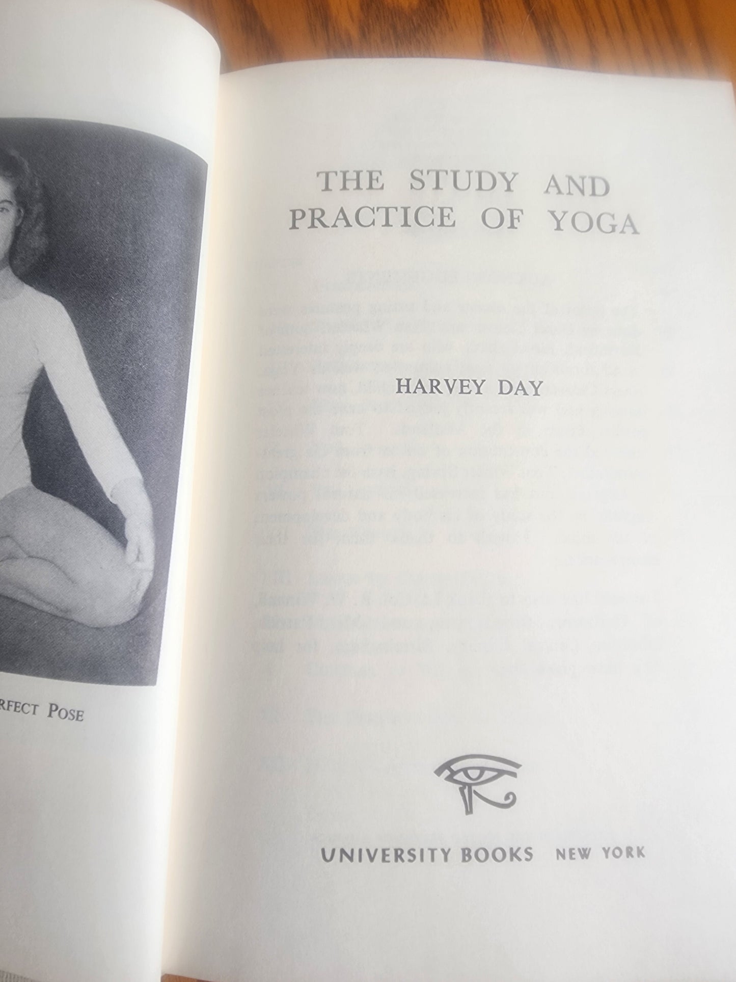 The Study and Practice of Yoga Harvey Day HCDJ 1955 First US Edition  Spiritual