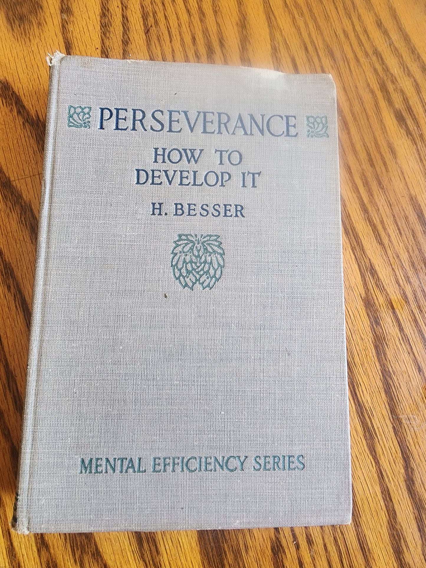 Perseverance , How to Develop  It 1916 (Mental Efficiency  Series) By H. Besser